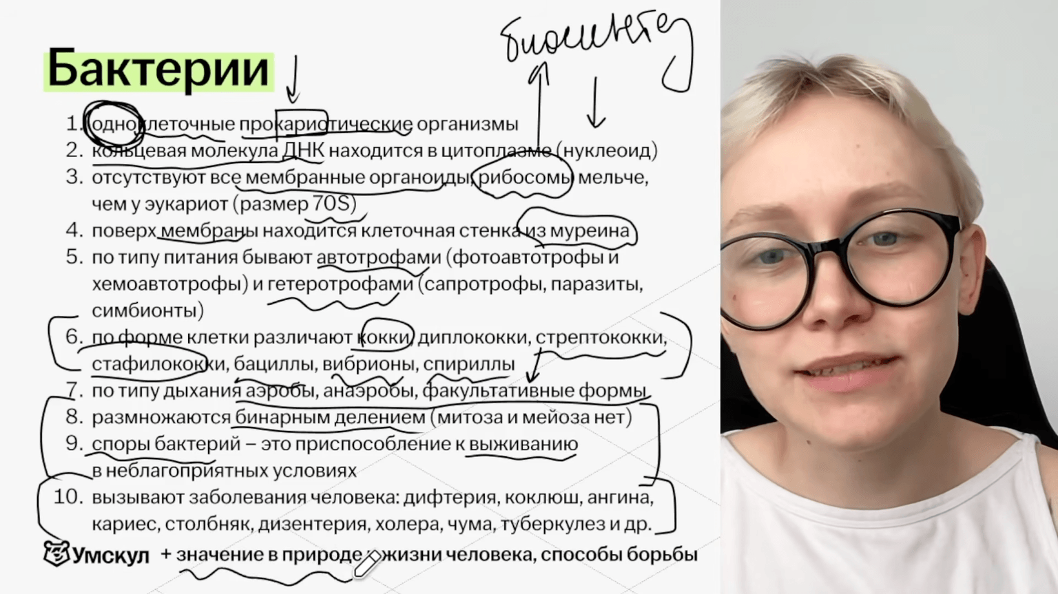 Изучение теории с практикой