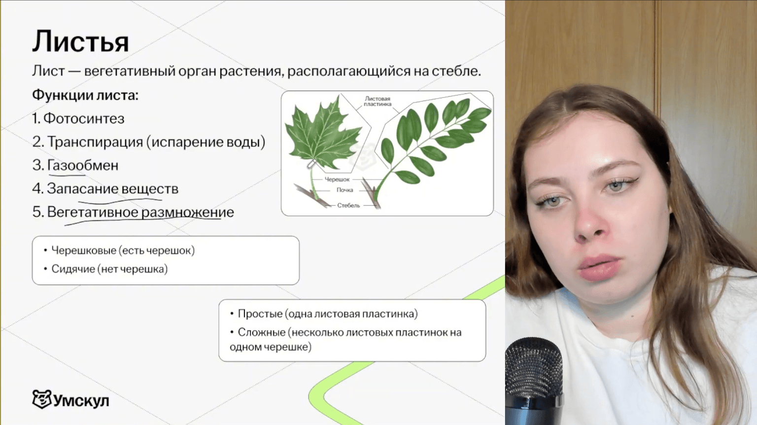 Изучение теории с практикой