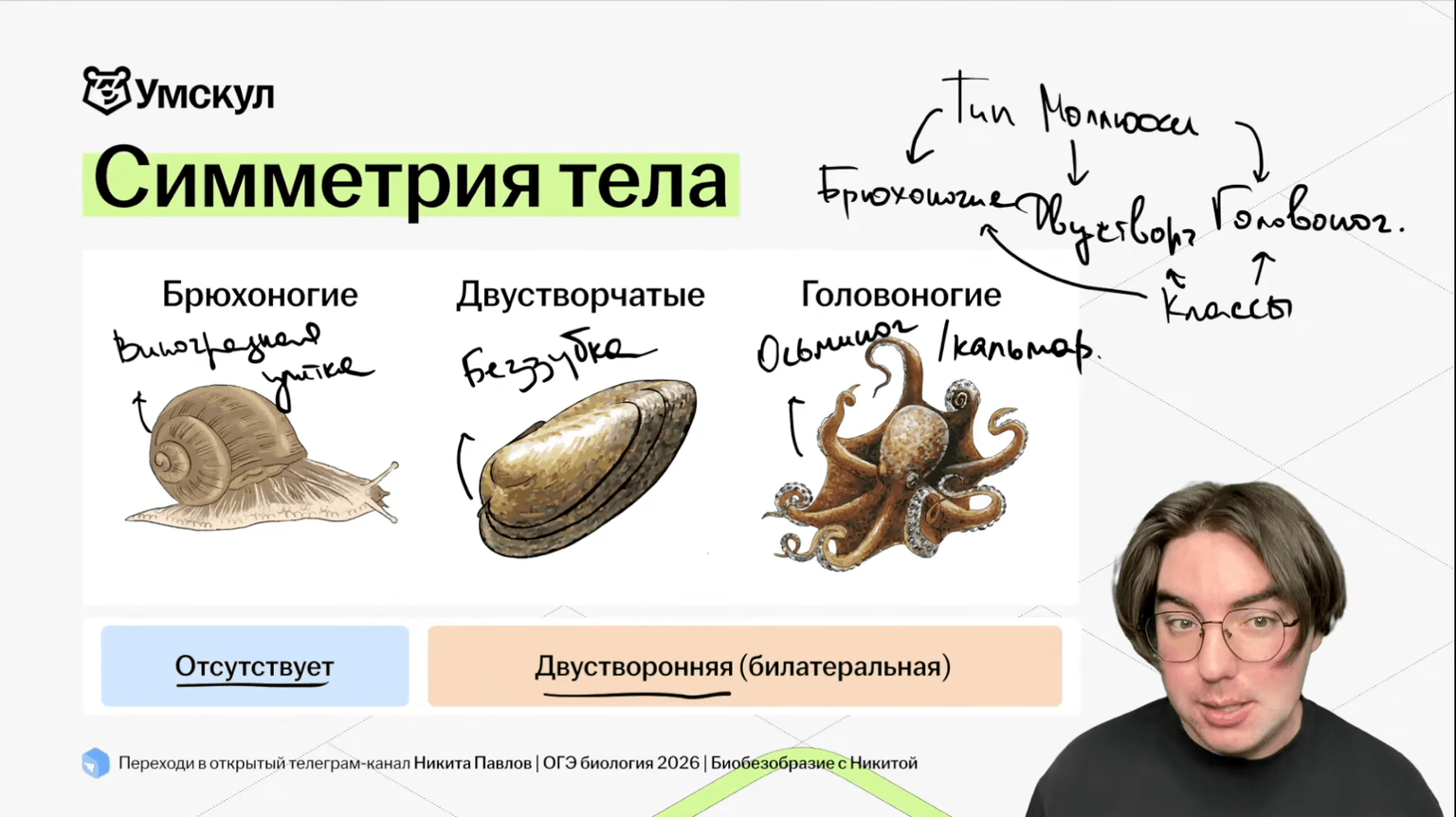Изучение теории с практикой